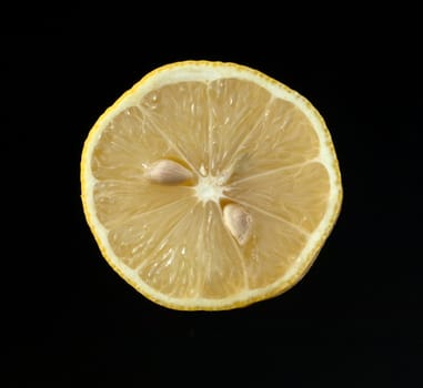 Zitrone, Citrus, limon