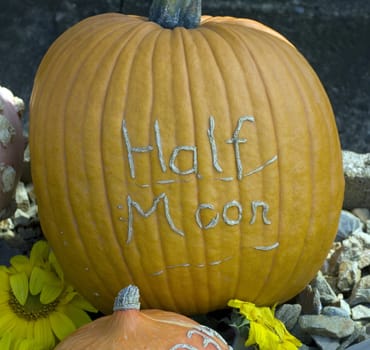 half moon  Kuerbis