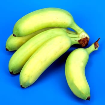 Zwergbanane, Musa paradisiaca, Banane, Exotische Frucht, Südfrüchte.