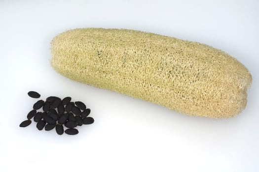 schwammkuerbis  luffa