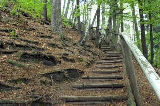 Stiege, Zirkelstein