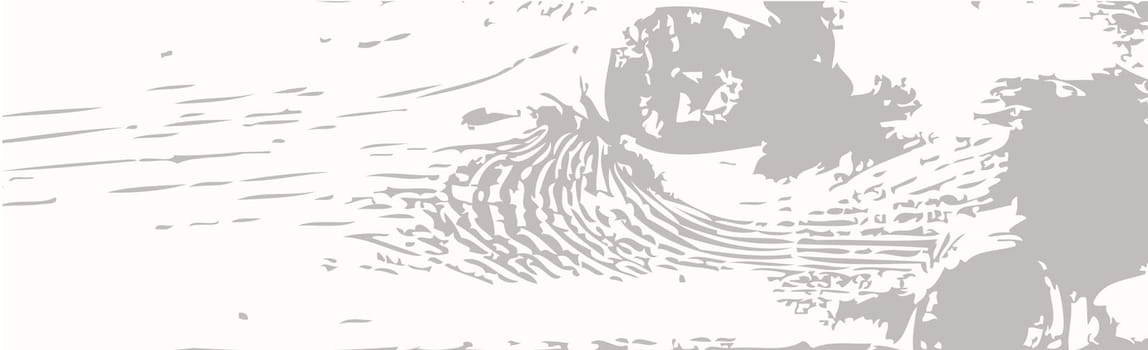 Panoramic texture of light wood with knots - Vector illustration
