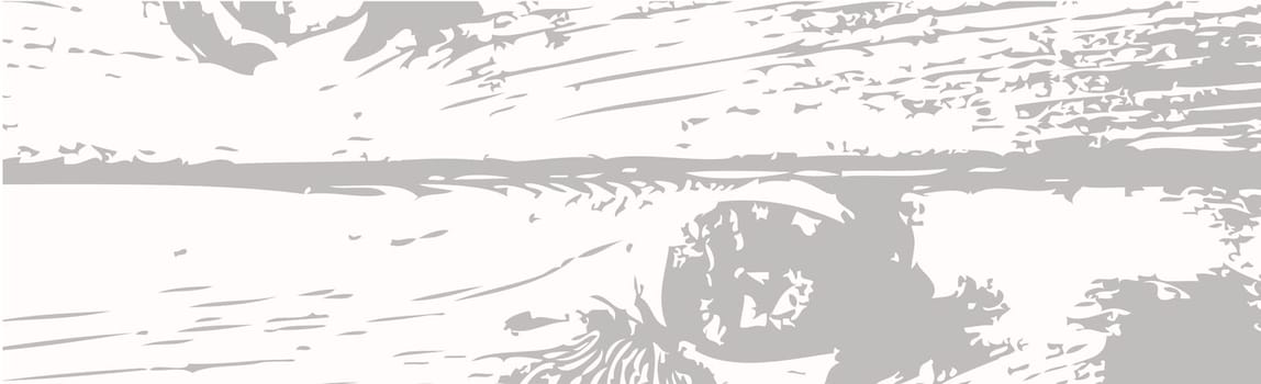 Panoramic texture of light wood with knots - Vector illustration