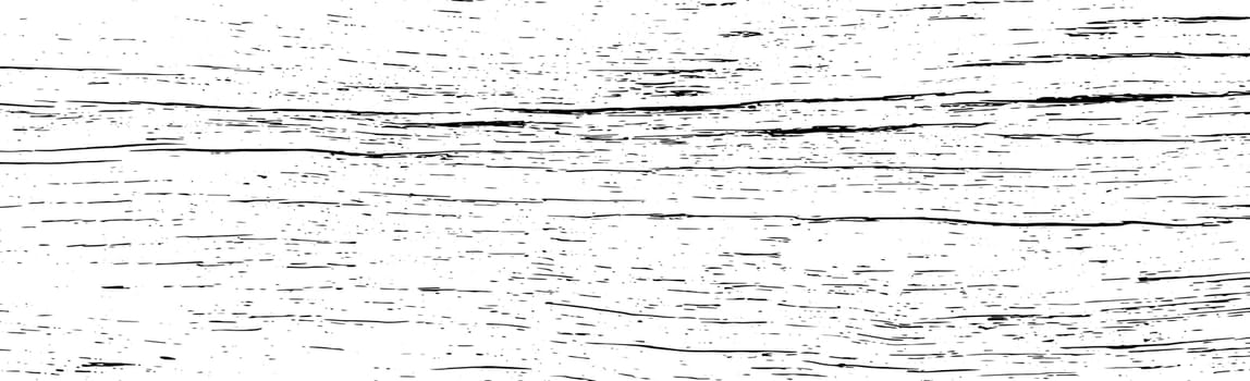 Panoramic texture of light wood with knots - Vector illustration