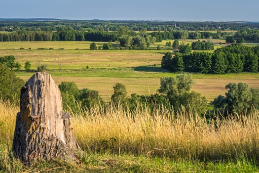 Summer rural landscape with sheafs of hay on agriculture fields, forest and tree trunk, country border between Germany and Poland