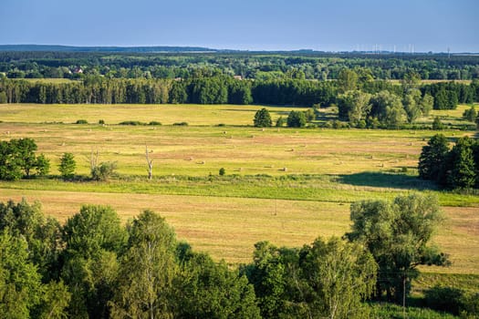 Summer rural landscape with sheafs of hay on agriculture fields, forest and windmills on windfarm, country border between Germany and Poland