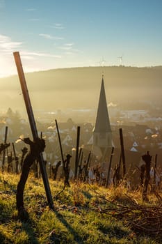 Vineyard and village with church steeple in vertical format