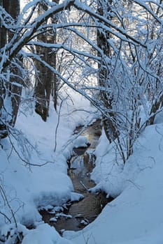 A beautiful winter landscape with lots of snow with trees by a stream