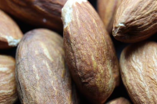 Closeup view of mixed dried and roasted pile of almonds. A fruit for background text