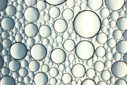 abstract macro background of oil circles floating over water surface . Macro closeup view of bubbles on water . oil bubbles in the water macro photographic background