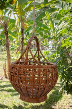 Weave basket hanging in the fruit garden, stock photo