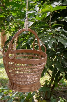 Weave basket hanging in the fruit garden, stock photo