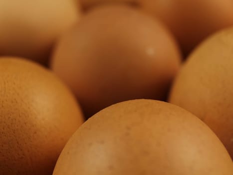 Tasty eggs with fresh natural raw chicken