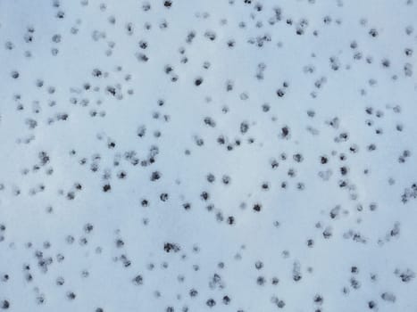 snow white background, with falling raindrops