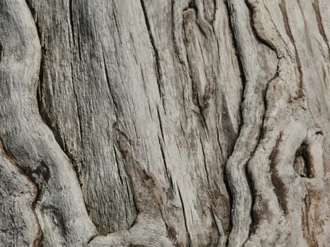 wood dry cracked surface, abstract background