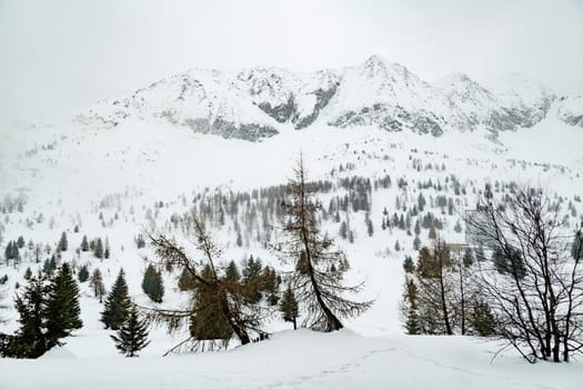 Winter landscape with lots of white snow. Concept of vacation during the winter holidays in the high mountains. soft focus.