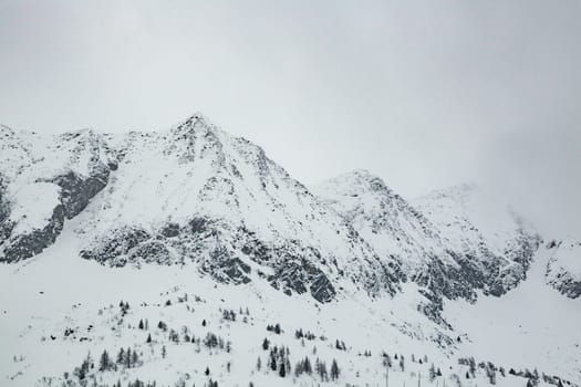 Winter landscape with lots of white snow. Concept of vacation during the winter holidays in the high mountains. Selective focus.