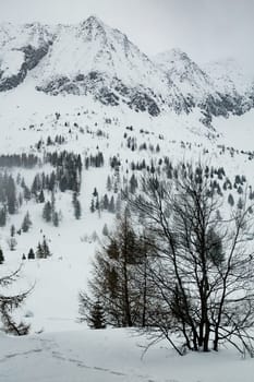 Winter landscape with lots of white snow. Concept of vacation during the winter holidays in the high mountains. Selective focus. Vertical orientation.