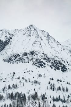 Winter landscape with lots of white snow. Concept of vacation during the winter holidays in the high mountains. Selective focus. Vertical orientation.