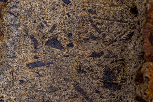 Greywacke of a German in a closeup
