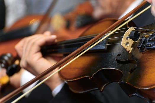 Closeup of Musician Playing The Violin During a Symphony