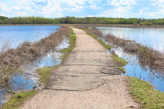 A walking path through a bird wetland.