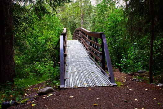 View of a forest path leading to a foot bridge.