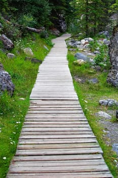 A straight wooden foot path on a hiking trail.