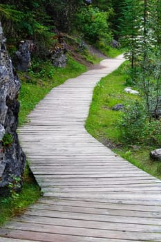 A curved wooden path along a forest rocky wall.