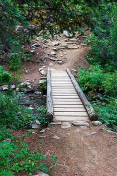 A small walk bridge over a creek on a hiking trail.