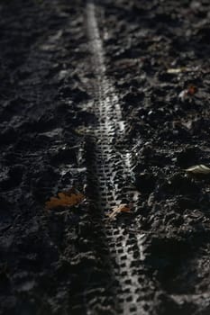 4 - Pattern of tyre tread imprinted in mud runs down the middle of this vertical image. Lit by evening sunset this enhances the surface texture.