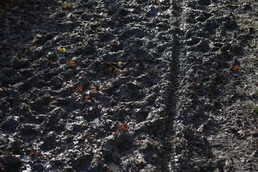 1 - High contrast sunny scene of thick, deep and squelchy mud. Full frame abstract texture littered with autumn leaves. Bike tyre track cuts through.