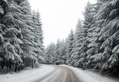 street in winter