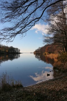 river view autumn landscape fallen leaves trees and clouds reflected in the water