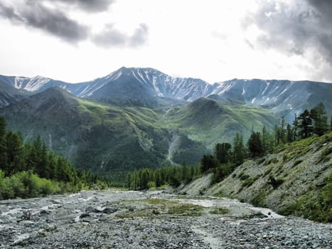 Nature is altai. Mountain landscape, forests and reservoirs of the altai.