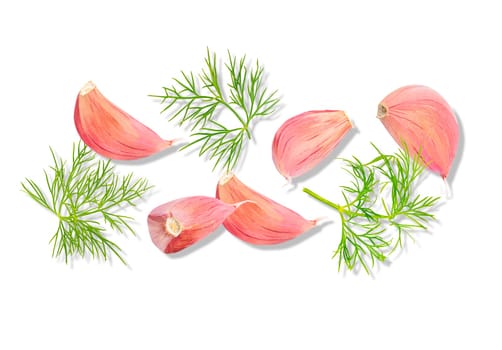 Isolated vegetable. Raw garlic cloves and dill herbs isolated on white background with shadow. Panorama website header banner. flat lay. High quality photo.