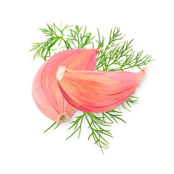 Isolated spices. Two garlic cloves and parsley leaves on white background with clipping path as package design element and advertising. Full depth of field.