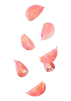 Isolated flying spices. Seven pieces of falling garlic cloves on white background with clipping path as package design element and advertising. Full depth of field.