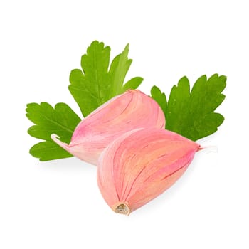 Isolated spices. Fresh two garlic cloves and parsley leaves on white background with clipping path as package design element and advertising. Full depth of field.
