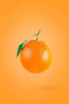 Minimal fruit concept. One whole orange fruit on bright yellow background with shadow. Design element. Full depth of field.