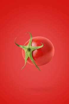 Minimal vegetables concept. One whole tomato on bright red background with shadow. Design element. Full depth of field.