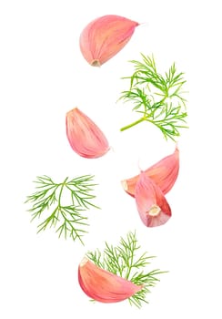 Isolated flying spices. Seven pieces of falling garlic cloves and dill leaves on white background with clipping path as package design element and advertising. Full depth of field.