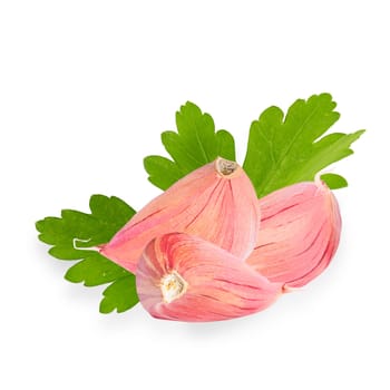Isolated spices. Fresh three garlic cloves and parsley leaves on white background with clipping path as package design element and advertising. Full depth of field.