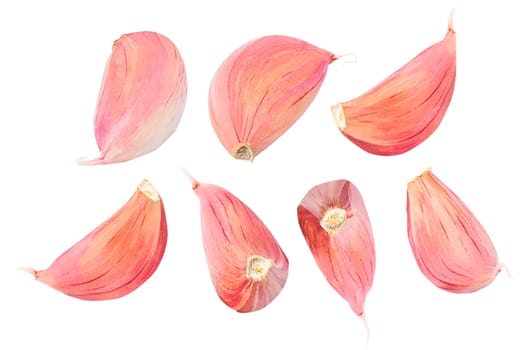 Collection of garlic segments. Different shapes of fresh garlic isolated on white background with clipping path as package design element and advertising. Full depth of field.