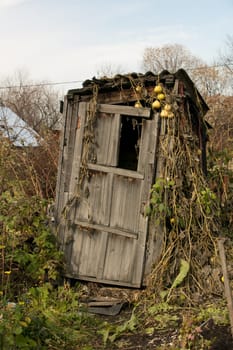 Rural old wooden toilet in the village