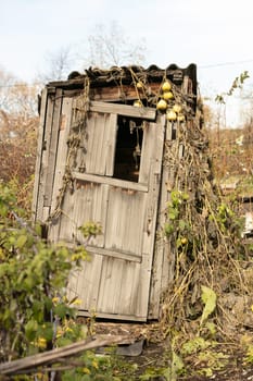 Rural old wooden toilet in the village
