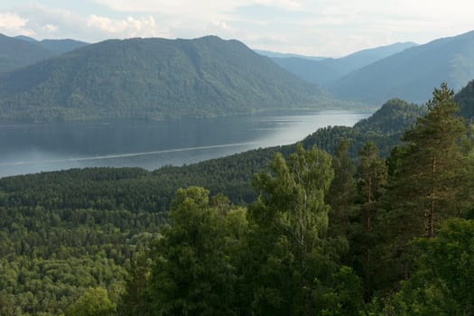 Lake Teletskoye with calm water on a summer day