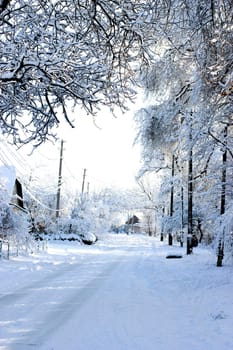 Winter rural landscape. Snowy street. Winter frosty morning. Rural houses and trees covered with snow.