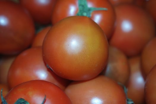 Close-up view of red tomatoes in market for sale. A fruit background for text and advertisements