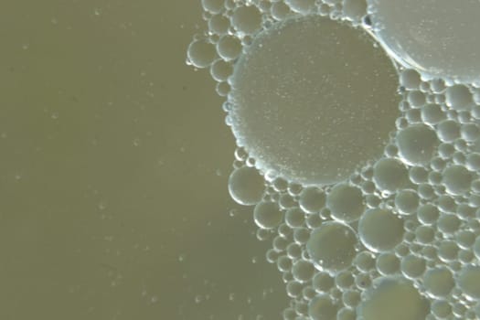 abstract macro background of oil circles floating over water surface . Macro closeup view of bubbles on water . oil bubbles in the water macro photographic background